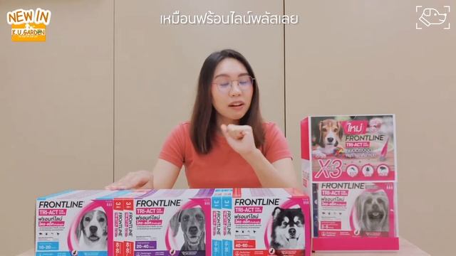 KUG Review: Newin ยาป้องกันเห็บหมัด ยุง! Frontline Tri-Act смотреть онлайн