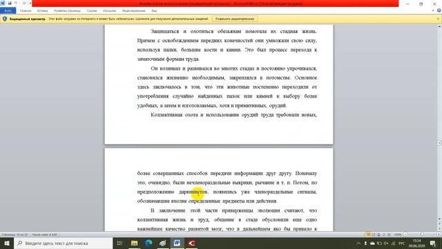 Анализ этапов антропогенеза