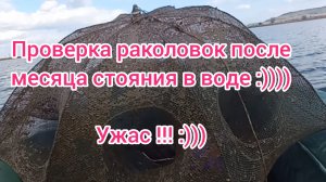 Проверка раколовок на наличие раков . Улов на раколовки . Ловля раков поздней осенью . Ловля раков .