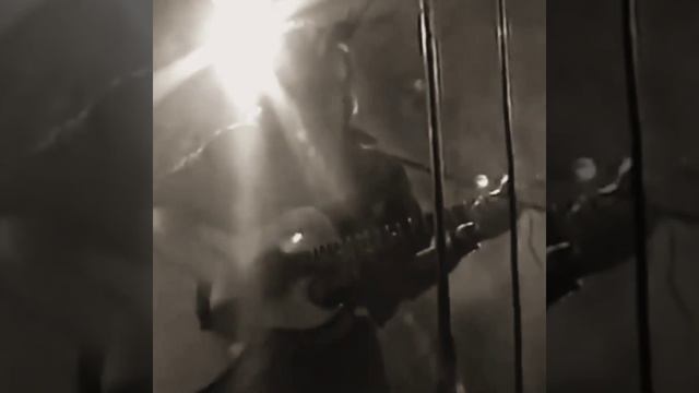 Сосны на морском берегу-Виктор Цой-Кино смотреть онлайн