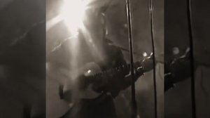 Сосны на морском берегу-Виктор Цой-Кино