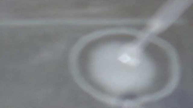 Coagulase Test For Staphylococcus Aureus