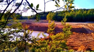 Эдвард Григ.  Утро.  Пер Гюнт.  Edward  Grieg.  Morning.  Peer Gynt.