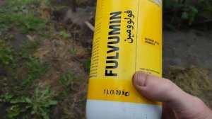 Огурцы в Пинском районе. Огурец Бёрн F1. Удобрение Нутривант. Fulvumin. Фунгицид Юниформ. Лифдрип.