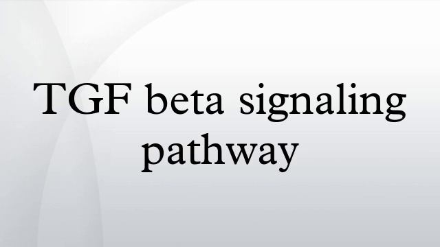 TGF Beta Signaling Pathway