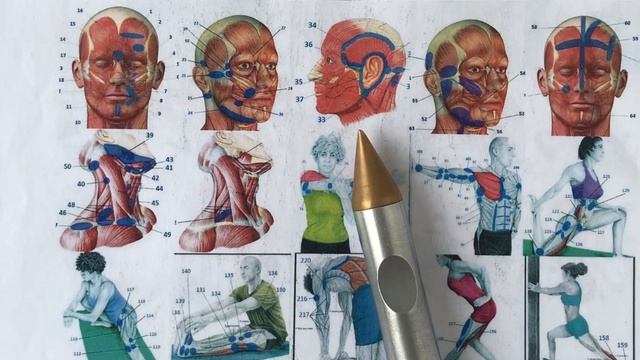 Продукт ДНК та про першопричини. 3 смотреть онлайн