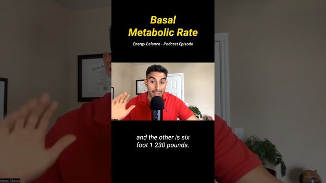 What Influences Basal Metabolic Rate? смотреть онлайн