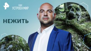 Нежить — Как устроен мир с Тимофеем Баженовым (07.05.2024)