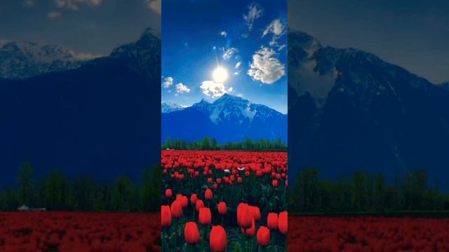 Пророк Мухаммад С.А.В. сказаль смотреть онлайн