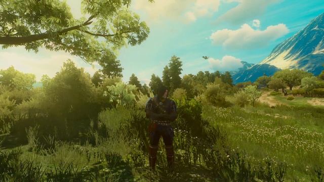 Коти Вояки. На волю! Розділ 14. Аудіокнига українською. смотреть онлайн