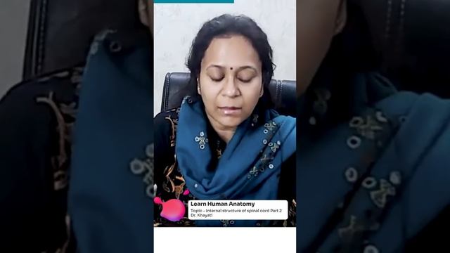 Internal Structure Of Spinal Cord Part 2 | Anatomy Of Spinal Cord Explained By Dr. Khayati