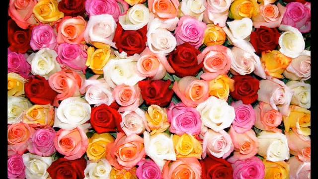 Omar Khayam Rubai na Farsi смотреть онлайн