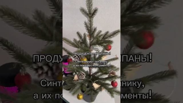 Учите биологию, не будьте чушпанами!!! #биология #егэ2024 #егэ #экология смотреть онлайн