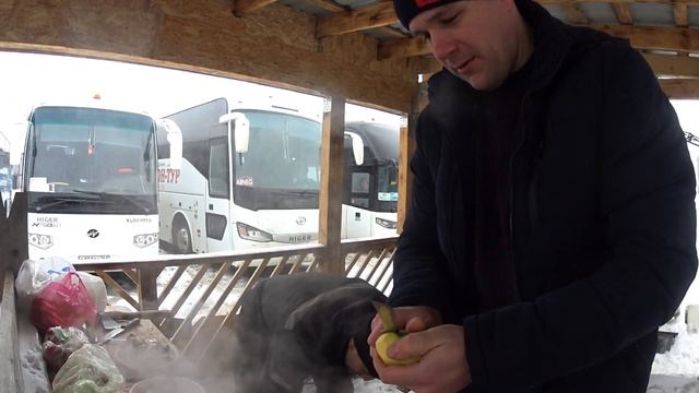 Что с сцеплением??? 🤨Меняю мотор лобовой печки-это было нелегко 🤯 Готовим вкусняшки на базе 😊 смотреть онлайн