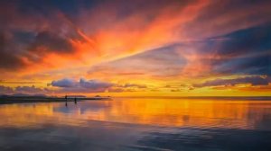 Роберт Адамс. Жизнь без мыслей.