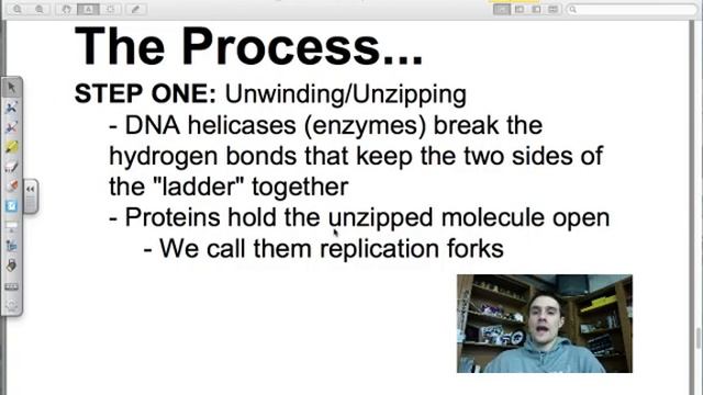 DNA Replication смотреть онлайн