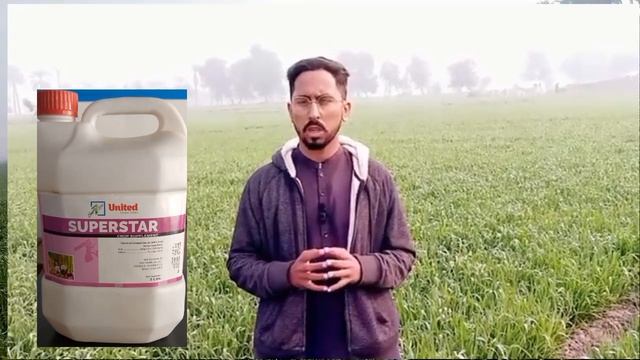 Potash born amino acid mix spray in wheat crops смотреть онлайн