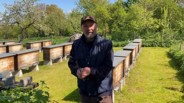 Септик на пасіці (26.04.2024 р.) смотреть онлайн