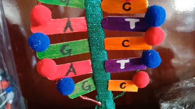 DNA Structure Model || Simple and Easy way to make DNA Project Model смотреть онлайн