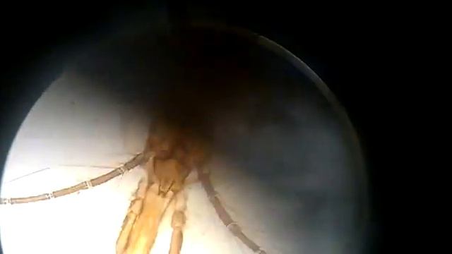 02062012055 смотреть онлайн