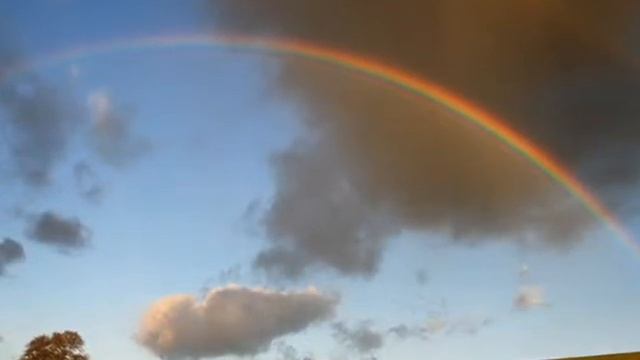 laPrimavera смотреть онлайн