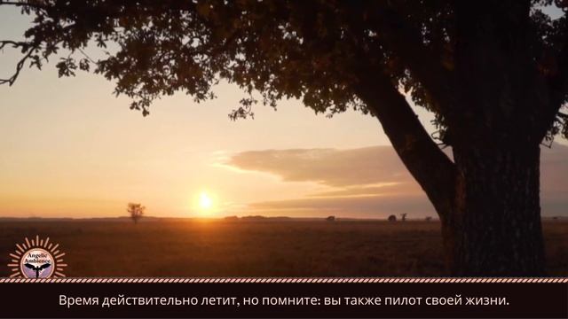 Ангельская музыка и цитаты, вдохновляющие на хорошие мысли 🌔 Вдохновляющие цитаты #10 смотреть онлайн