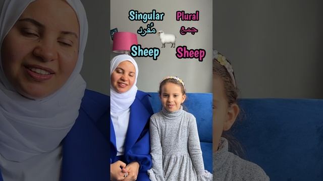 Learn more Irregular plural nouns in English easily in 30 seconds 🤩 #english #englishgrammar #learn смотреть онлайн