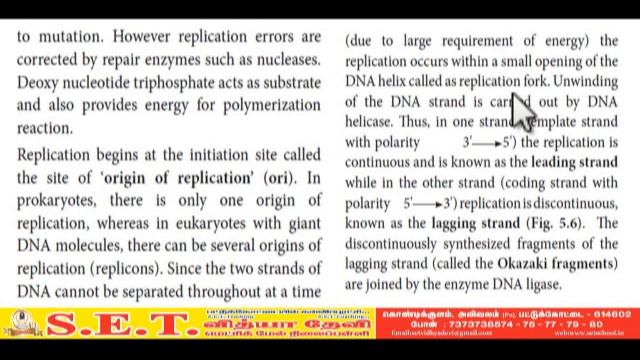Bio Zoology - Enzymes and mechanism of replication смотреть онлайн