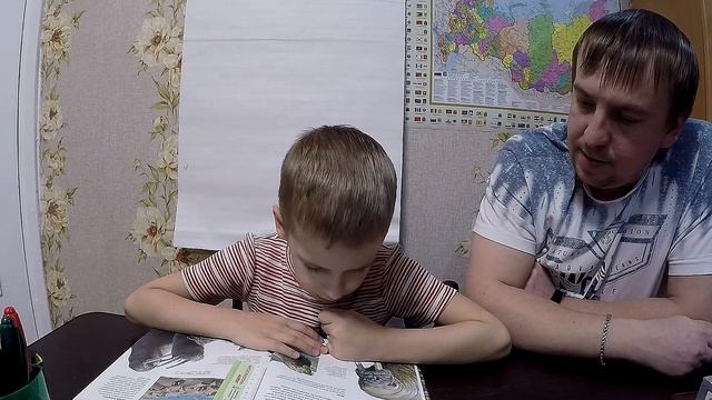 Артика. Моржи. Сын читает.