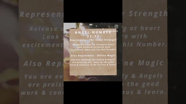 Angel Number - 7#numerologist #universemessage #dmfordetails смотреть онлайн