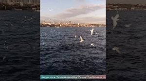 Стихи найдены в свободном доступе интернета. Автор Татьяна Алексейчук "Сколько не было вам лет"