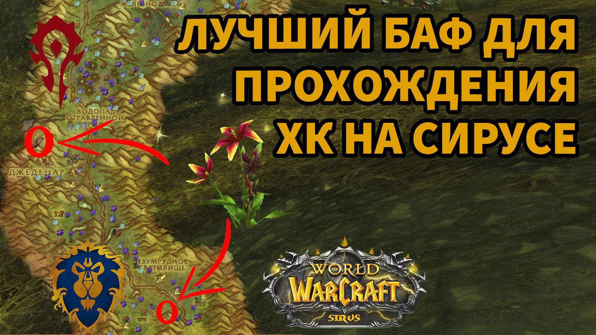 ЭТО ЛЕГАЛЬНЫЙ ЧИТ НА ХК СИРУСА| БАФ ПРО КОТОРЫЙ НЕ ЗНАЕТ ДАЖЕ ЕНФИГОР!!! ИМБА БАФ НА WOW SIRUS