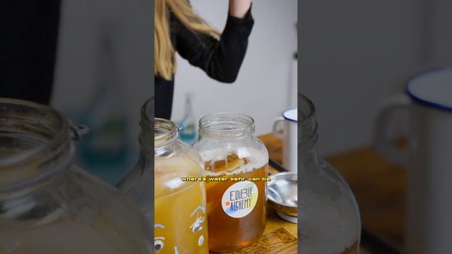 Kombucha vs Water kefir смотреть онлайн