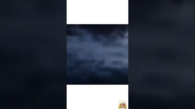 Мемы видео с реддита. Memes From Reddit. сборка №1