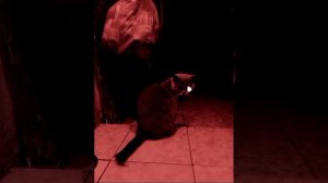 жуткие лица бони шаблон( берите если хотите)