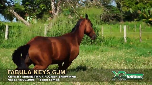 12 FABULA KEYS GJM смотреть онлайн