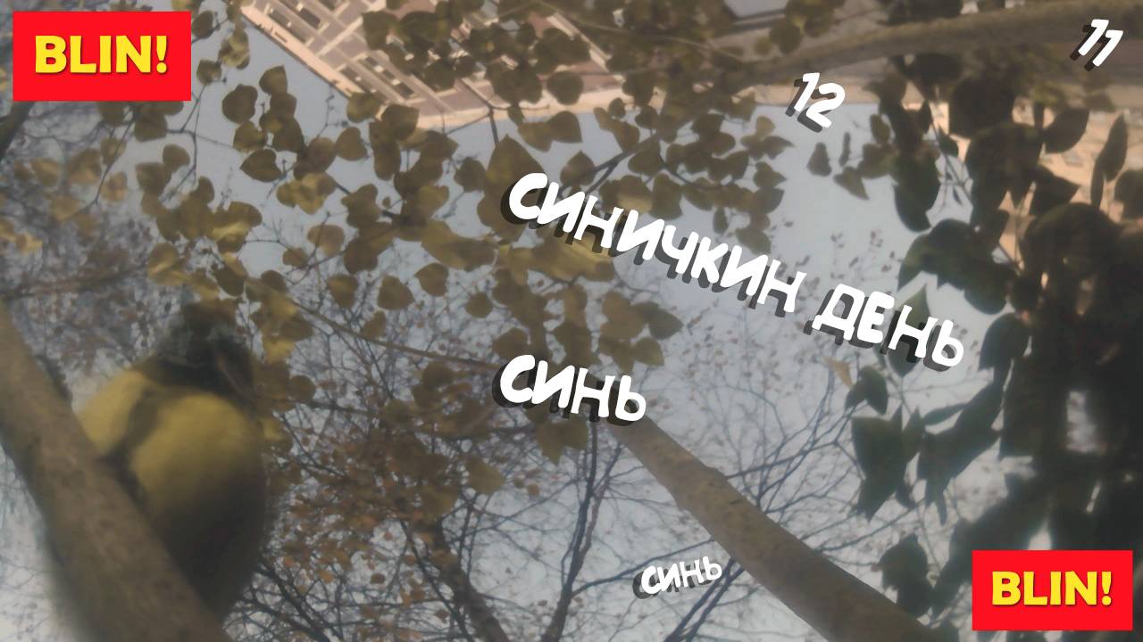 Синичкин День