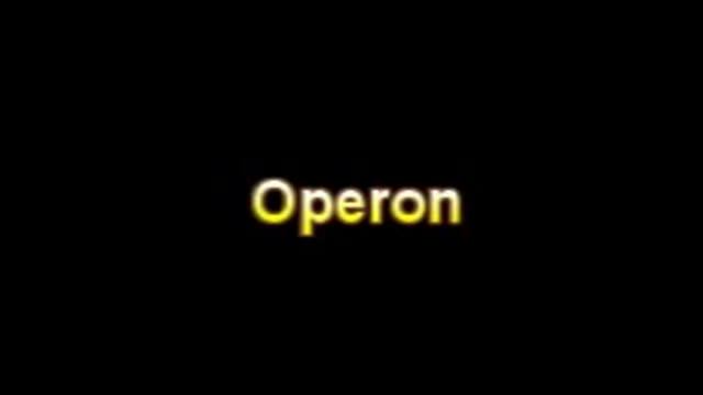What Is The Definition Of Operon