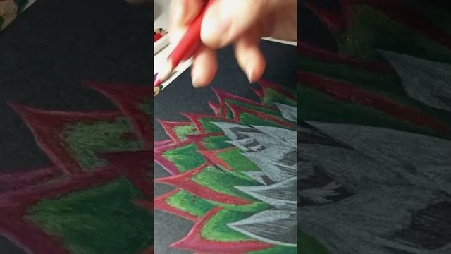 Суккулент смотреть онлайн