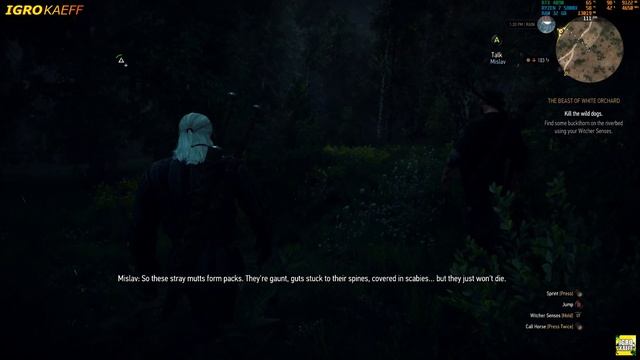 The Witcher 3: NEXT GEN Extreme modded settings - Custom Reshade - RTX 4090 RAYTRACING | DLSS 3.0 смотреть онлайн