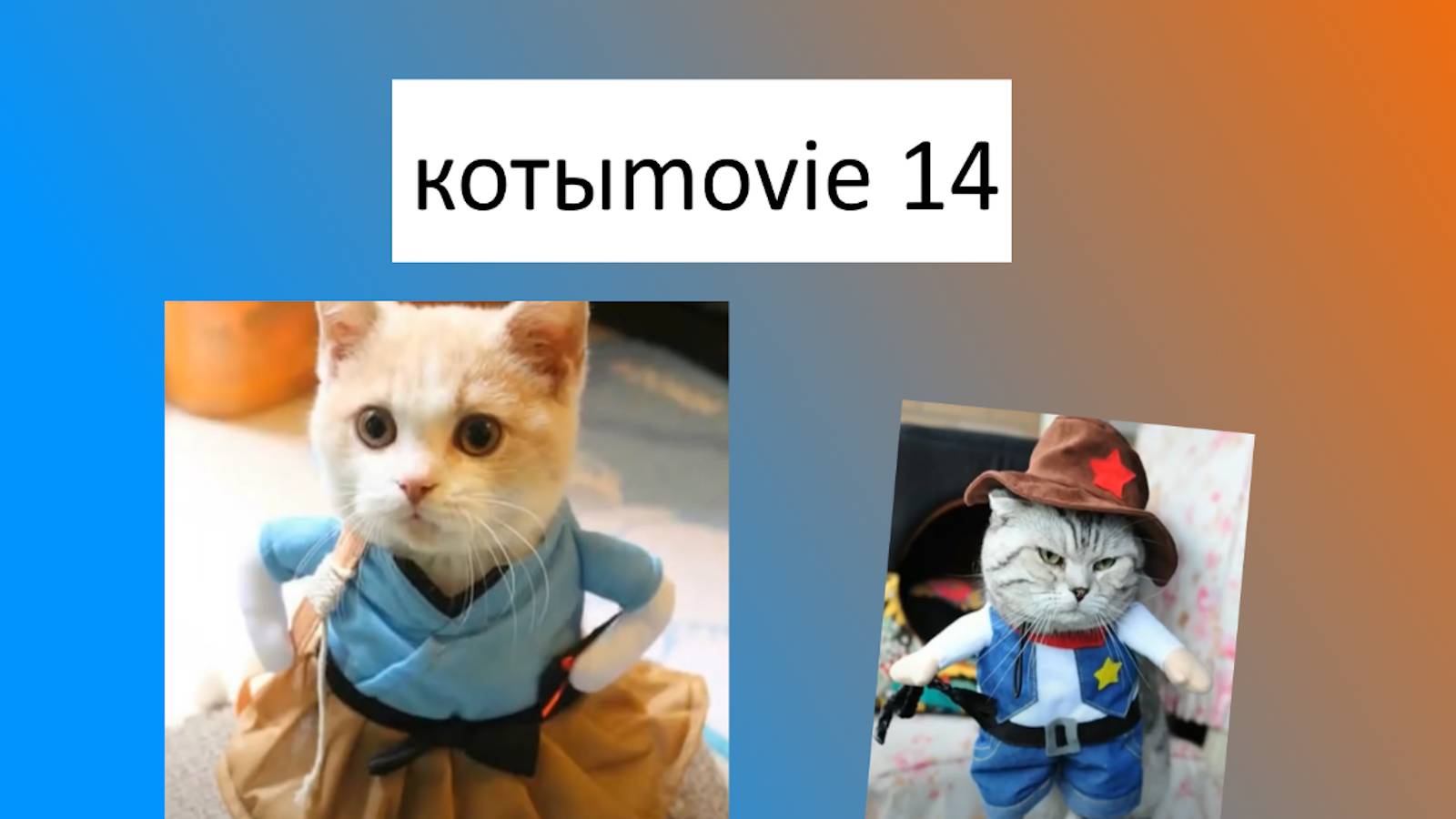 Котыmovie 14 смотреть онлайн