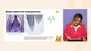 Рост растения | Биология 6 класс | Домашняя школа Фоксфорда