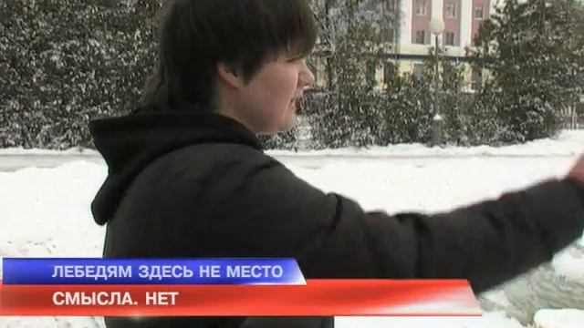 Лебедям на площади не место? смотреть онлайн