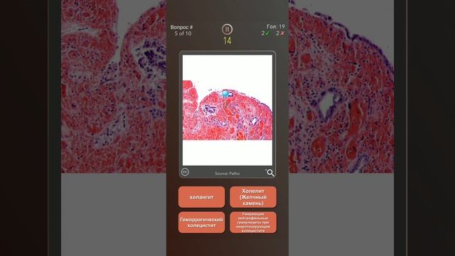 медицина и здоровье смотреть онлайн
