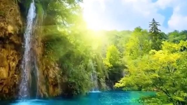 Безмятежный Миротворец. #DiaLogos #RALE