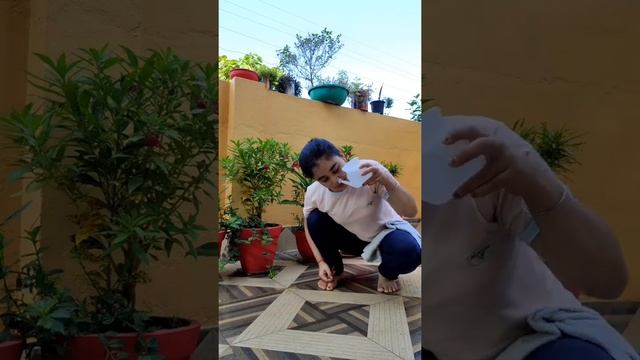 Jal neti || Jalnetikriya || Sathkarma || Netipot || Hygiene || Coronavirus || Clearnasal | Noseclea смотреть онлайн