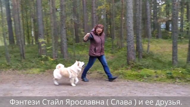 Фэнтези Стайл Ярославна. смотреть онлайн