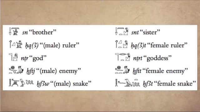 Feminine nouns | Ancient Egyptian Language Lesson 09 смотреть онлайн