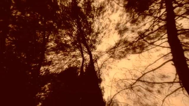 DNA DaMaGe Spectre смотреть онлайн