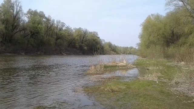 река Рать(Любич) смотреть онлайн